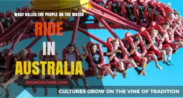 Deadly Thrills: Water Ride Tragedy in Australia