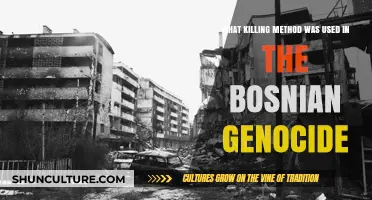 Bosnian Genocide: Uncovering the Brutal Killing Methods Employed in the Conflict