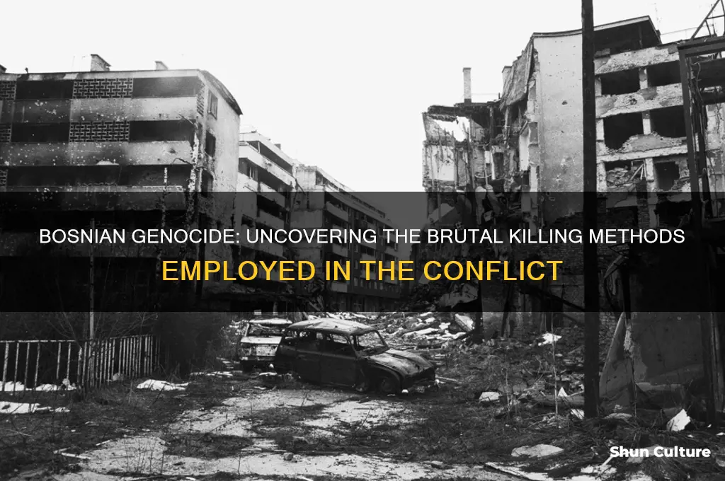 what killing method was used in the bosnian genocide