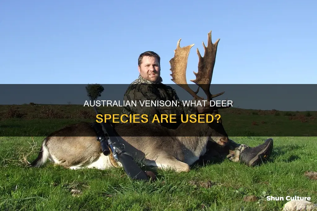 what kind if deer makes australia ln venison