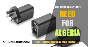 Choosing the Right AC Adapter for Algeria: A Comprehensive Guide