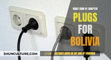 The Essential Adapter Plug Guide for Bolivia Travellers