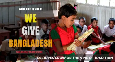 Exploring Types of International Aid Provided to Bangladesh: A Comprehensive Overview