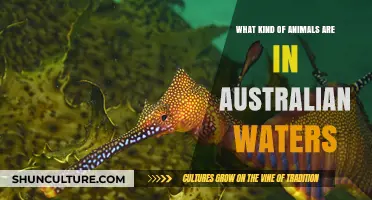 Exploring Australia's Unique Marine Wildlife