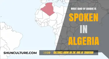 Exploring Algerian Arabic: A Unique Dialect in North Africa