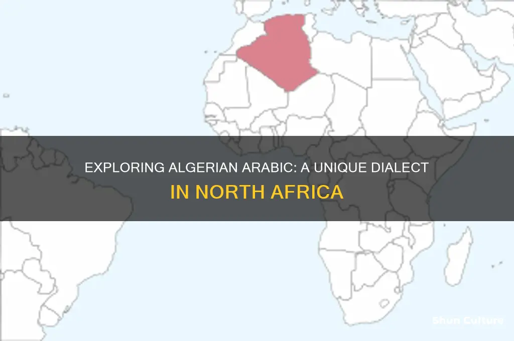 what kind of arabic is spoken in algeria