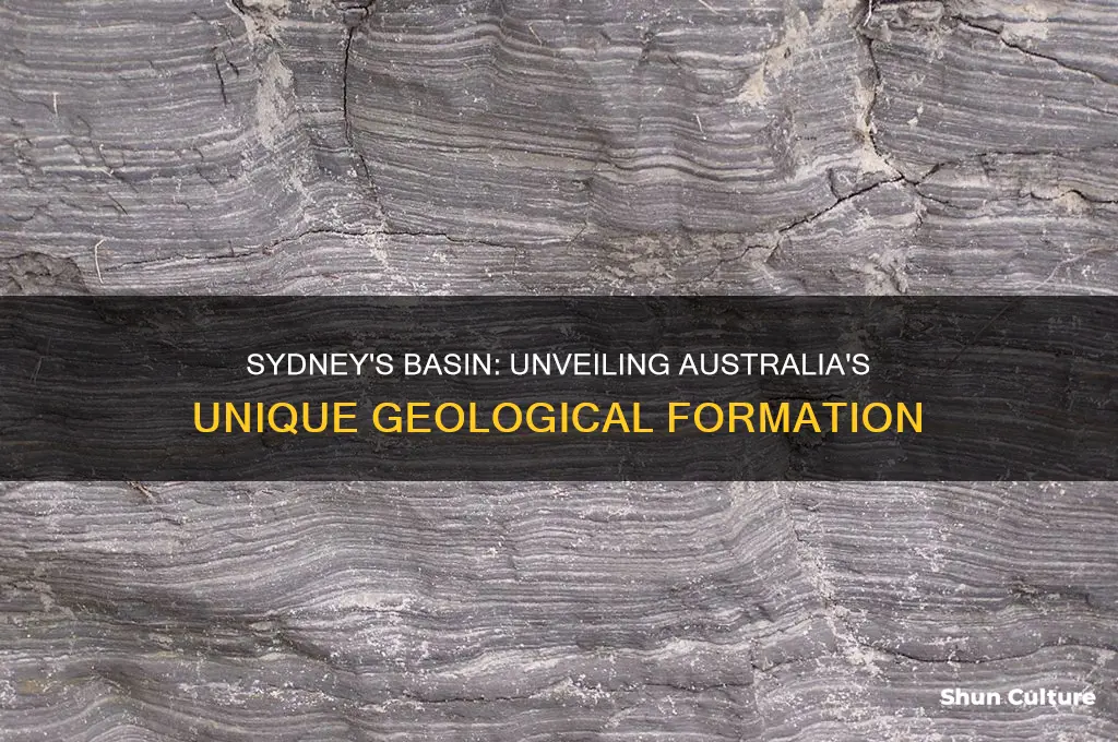 what kind of basin is sydney australia on
