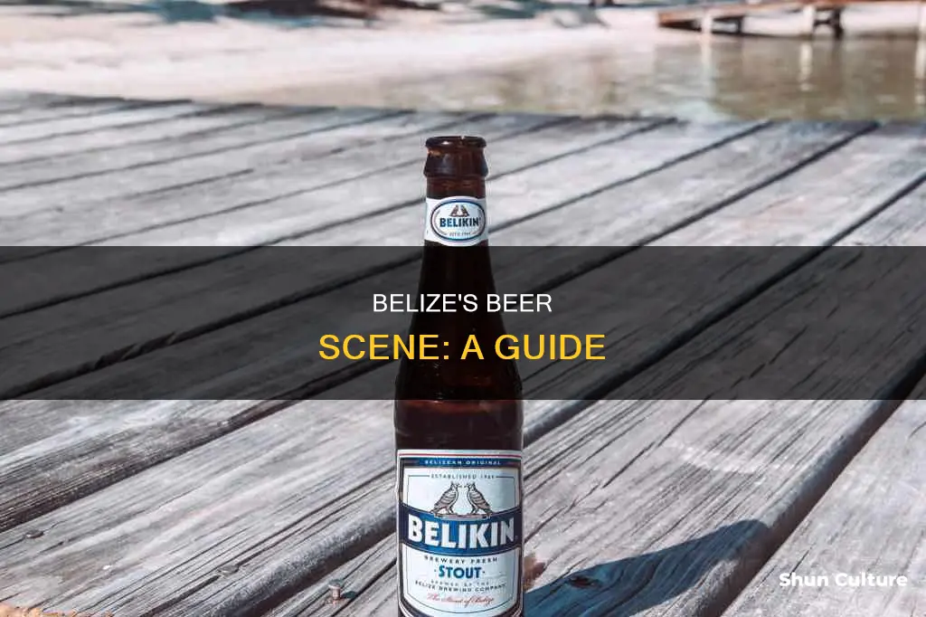 what kind of beer is available in belize