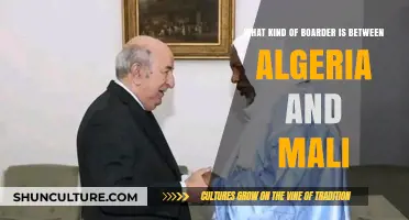 Exploring the Border Dynamics Between Algeria and Mali: A Detailed Overview