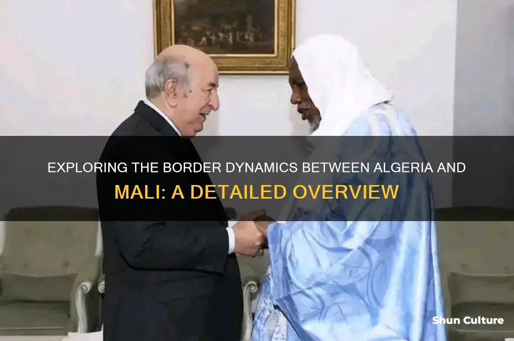 what kind of boarder is between algeria and mali