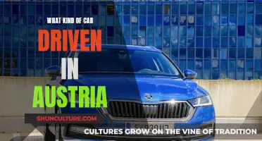 Exploring Austria's Car Culture: A Guide to the Popular Vehicles