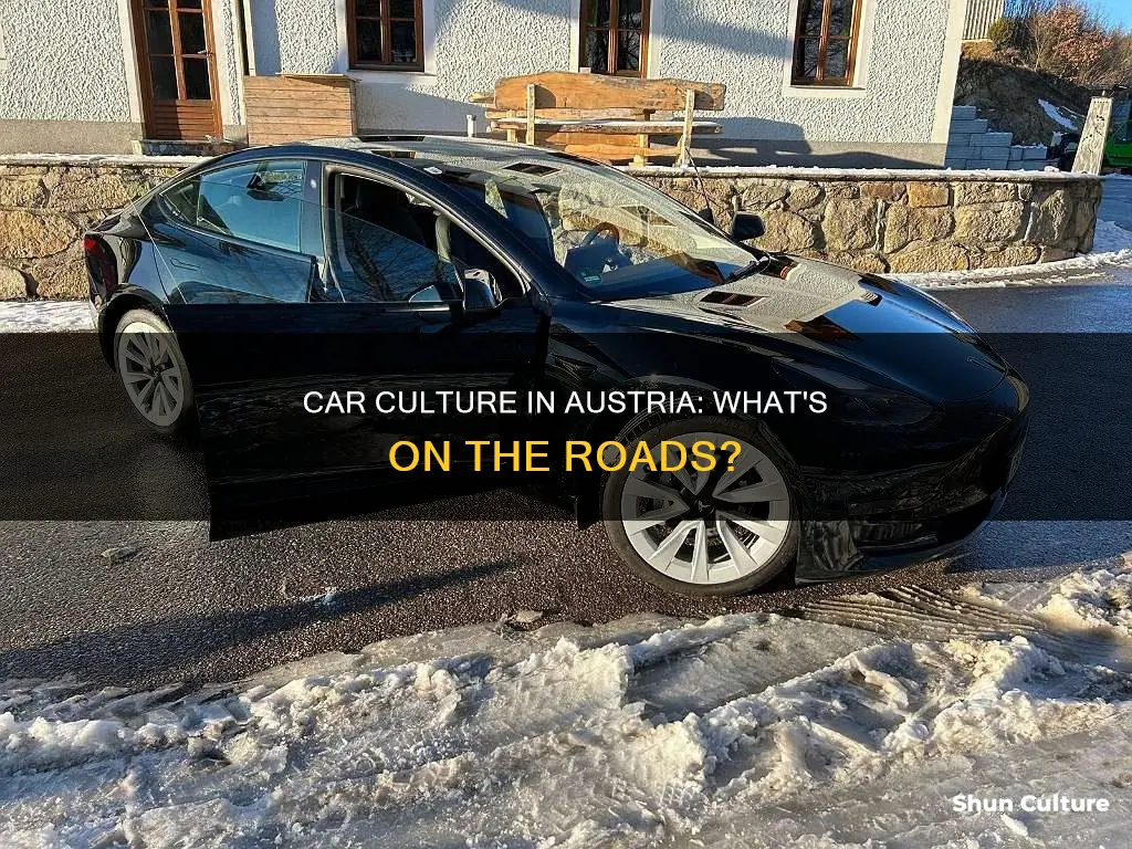 what kind of car driven in austria