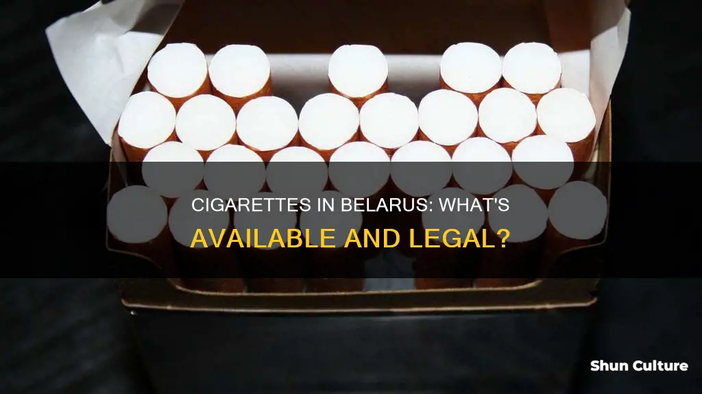 what kind of cigarettes can you buy belarus