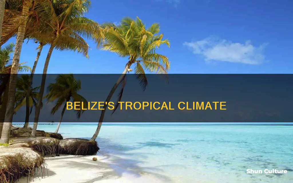 what kind of climate does belize has