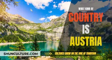 Exploring Austria's Unique Culture and Geography