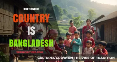 Exploring Bangladesh: Culture, History, Economy, and People of a Vibrant Nation