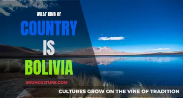 Exploring Bolivia: A Country of Diversity and Wonder