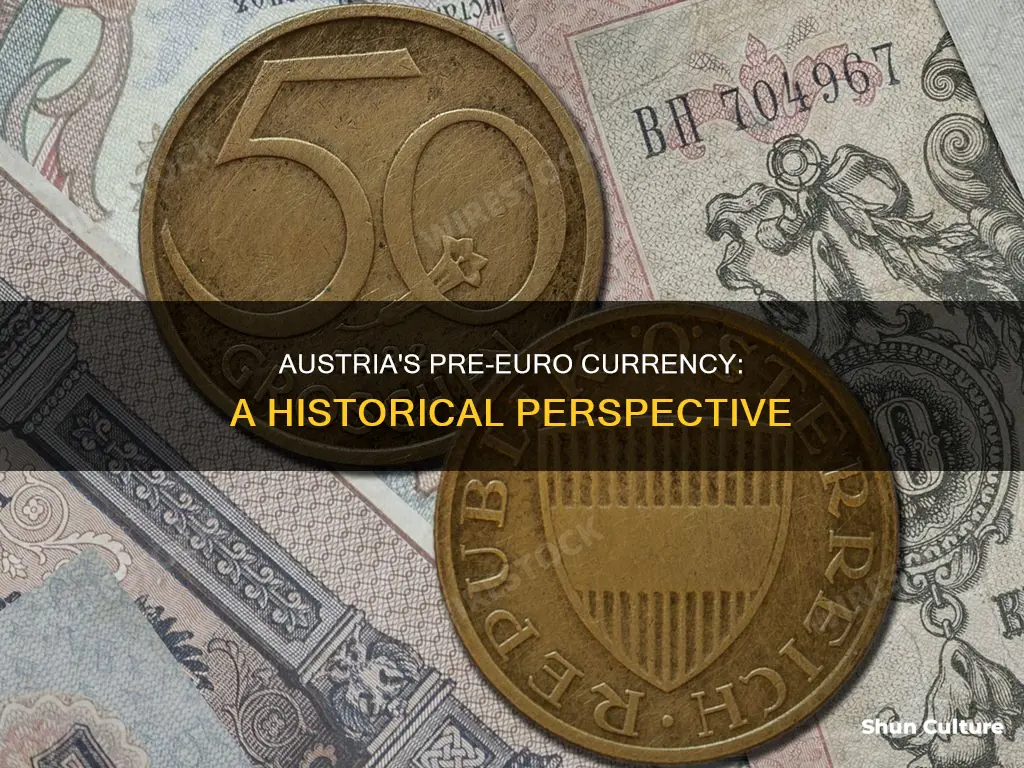 what kind of currency did austria use before the euro
