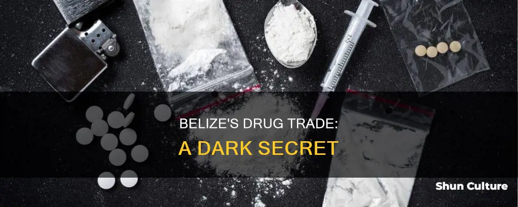 what kind of drugs are in belize