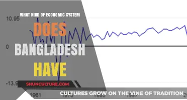 Exploring Bangladesh's Mixed Economy: Structure, Challenges, and Growth Potential