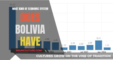 Exploring Bolivia's Complex Mixed Economic System