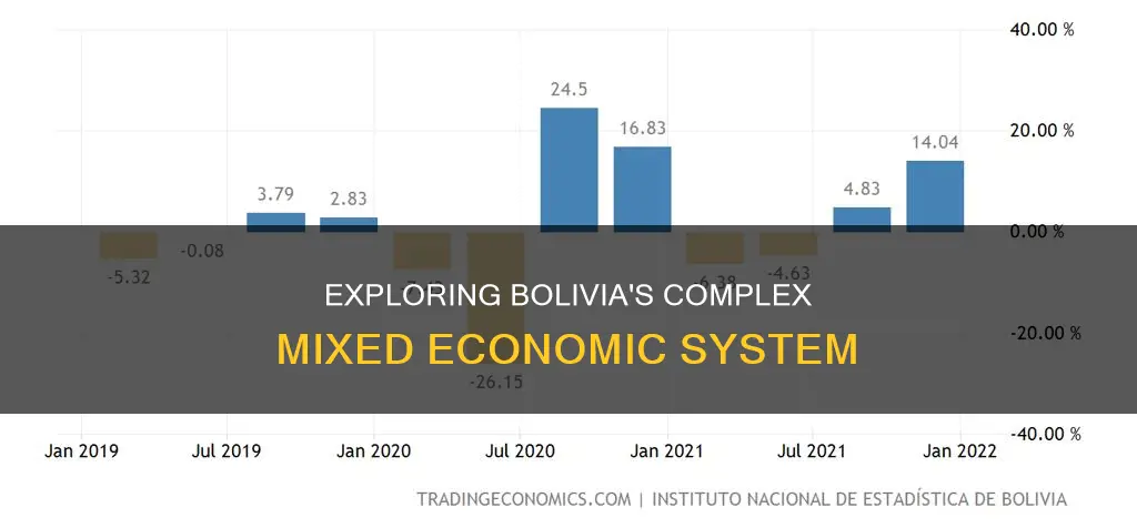 what kind of economic system does bolivia have