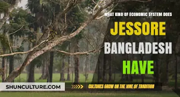 Jessore, Bangladesh: Exploring Its Unique Economic System and Structure