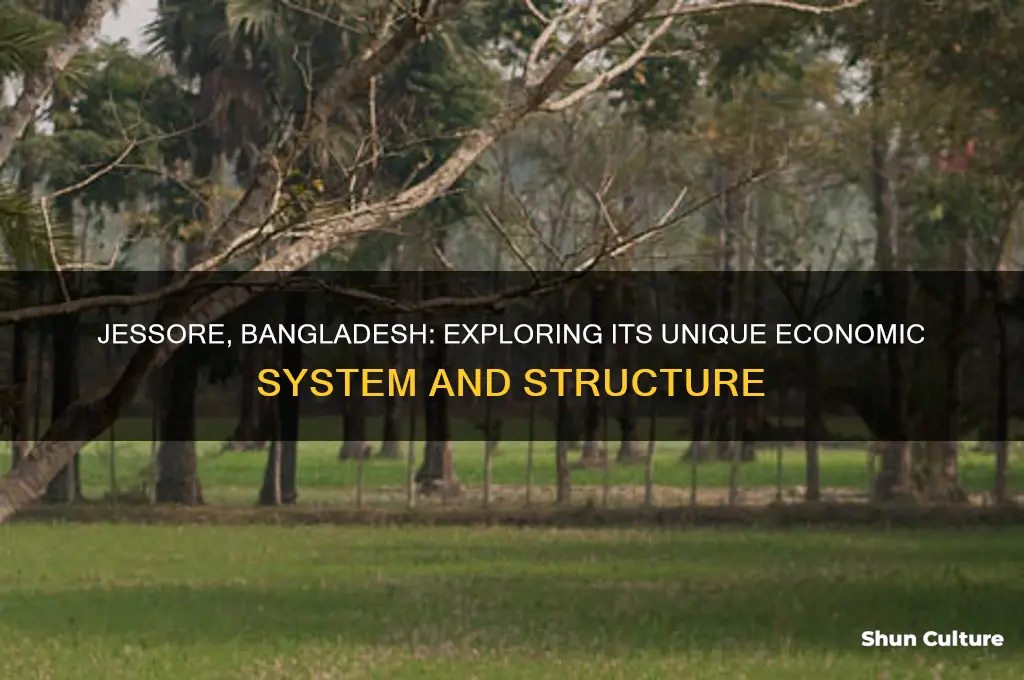 what kind of economic system does jessore bangladesh have