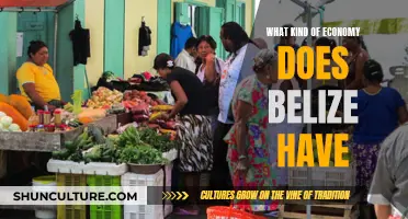 Belize's Economy: Small but Diversifying