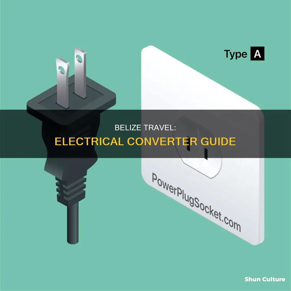 what kind of electrical converter do I need for belize