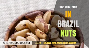 Brazil Nuts' Fat Profile: Uncovering the Healthy Fats Inside