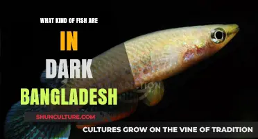 Exploring Bangladesh's Dark Waters: Unveiling the Unique Fish Species Within