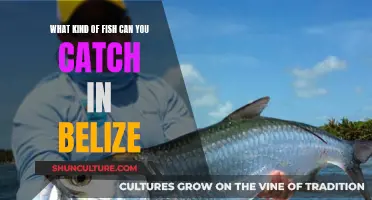 Belize's Best Fishing Catches