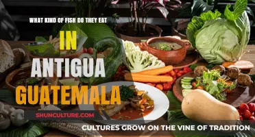 Exploring Antigua Guatemala's Favorite Fish Dishes and Local Seafood Delights