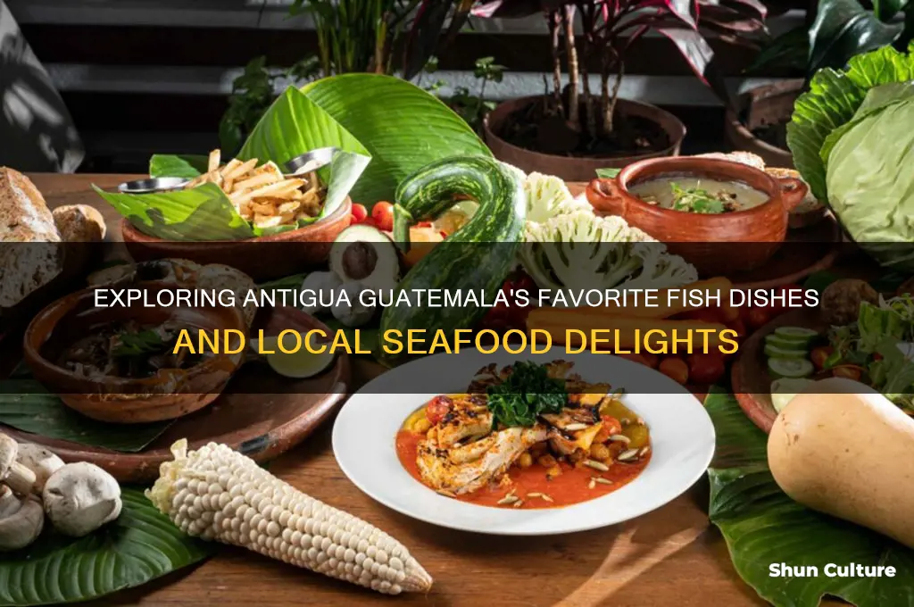 what kind of fish do they eat in antigua guatemala