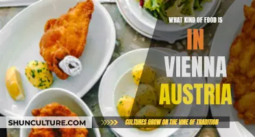 Tasty Treats in Vienna: A Culinary Adventure in Austria