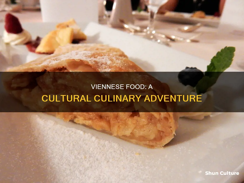 what kind of food is in vienna austria