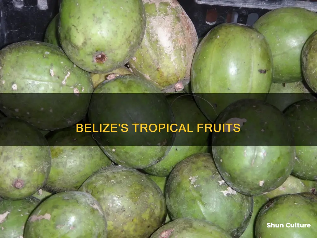 what kind of fruits grow in belize