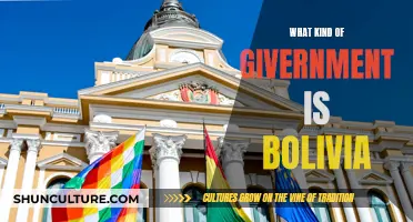 Exploring Bolivia's Unique Governmental System