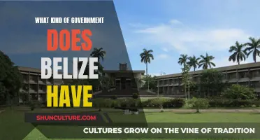 Belize's Government: Democracy in Action