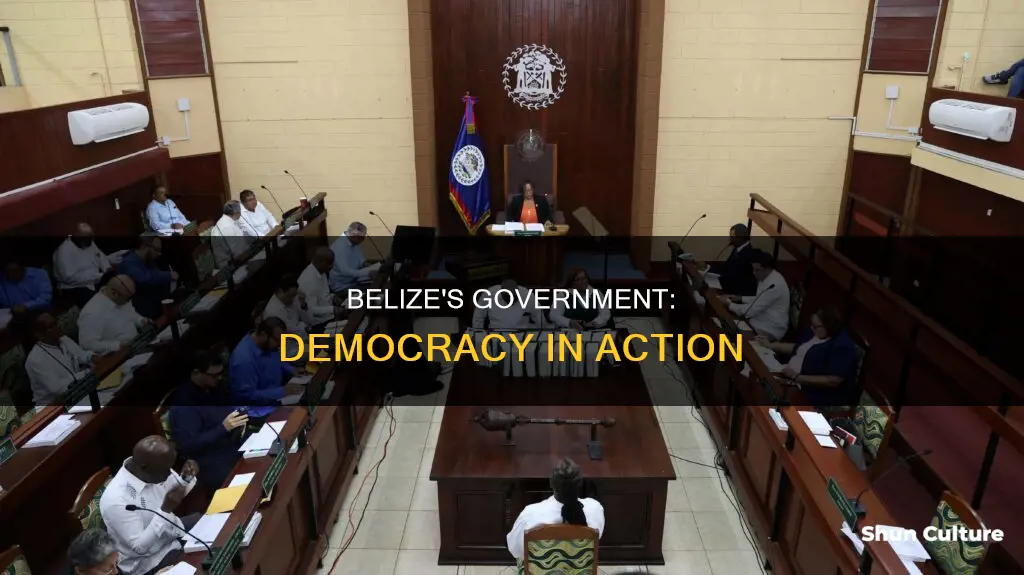 what kind of government does belize have