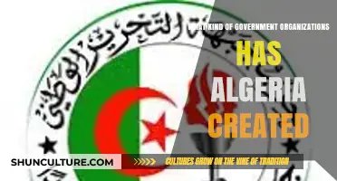 Exploring Algeria's Diverse Government Organizations and Their Functions