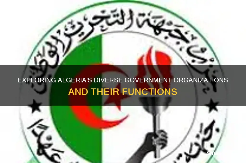 what kind of government organizations has algeria created