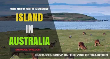 Kangaroo Island: Australia's Wildlife Habitat
