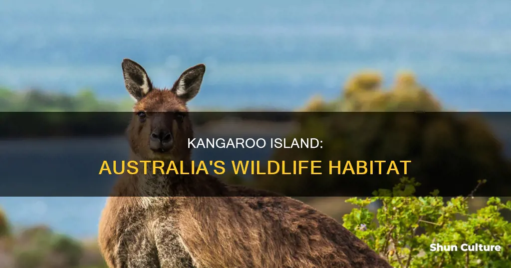 what kind of habitat is kangaroo island in australia