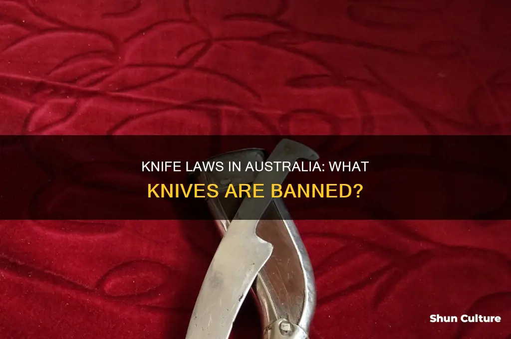 what kind of knives are illegal in australia