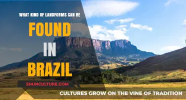 Exploring Brazil's Diverse Landforms: Mountains, Plains, and Coastlines