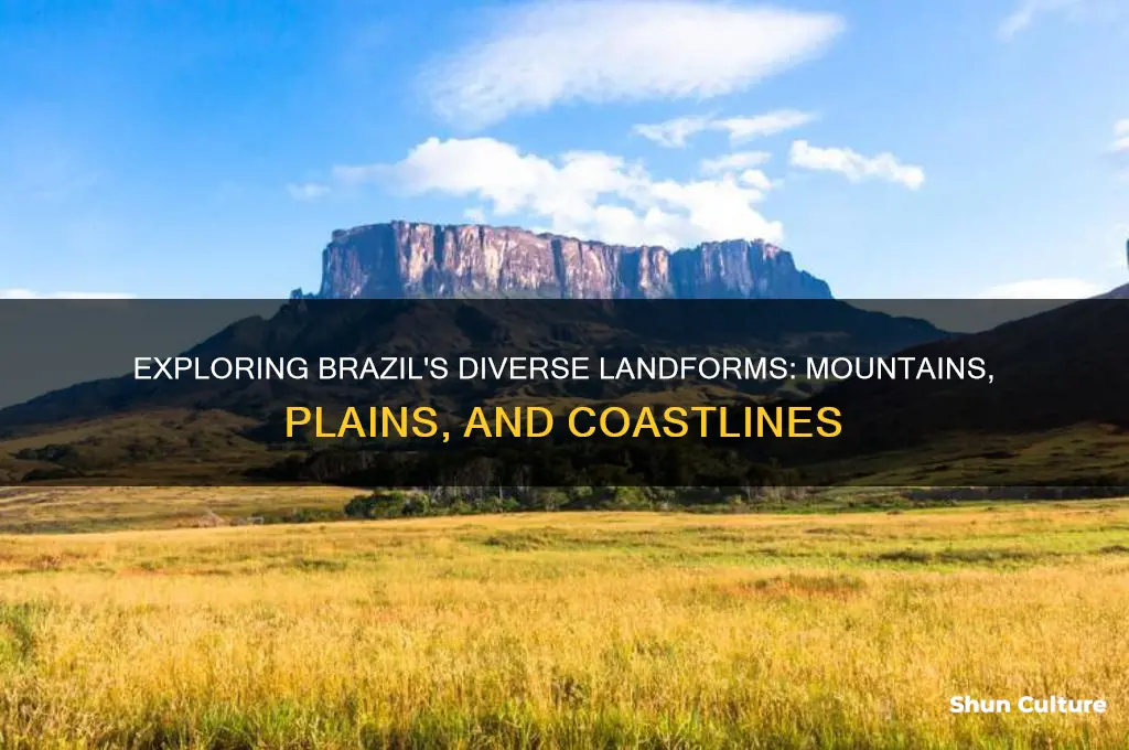 what kind of landforms can be found in brazil