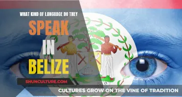 Belize's Official Language