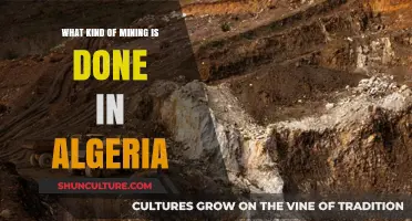 Exploring Algeria's Diverse Mining Sector: Types and Operations